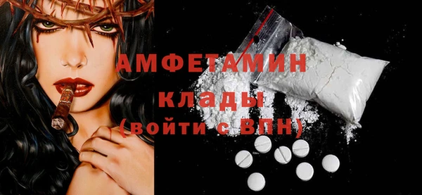молекула духа Новозыбков