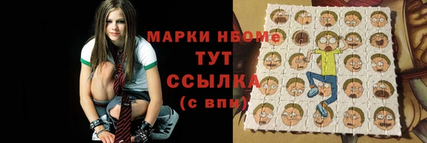 молекула духа Новозыбков