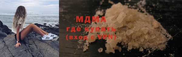 молекула духа Новозыбков