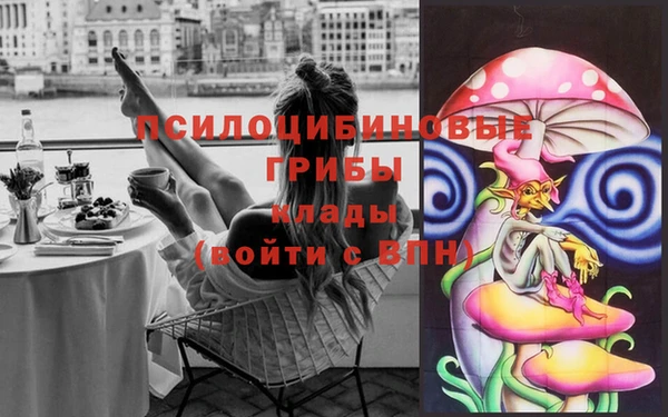дживик Дегтярск