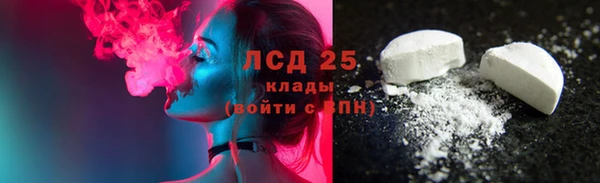 молекула духа Новозыбков