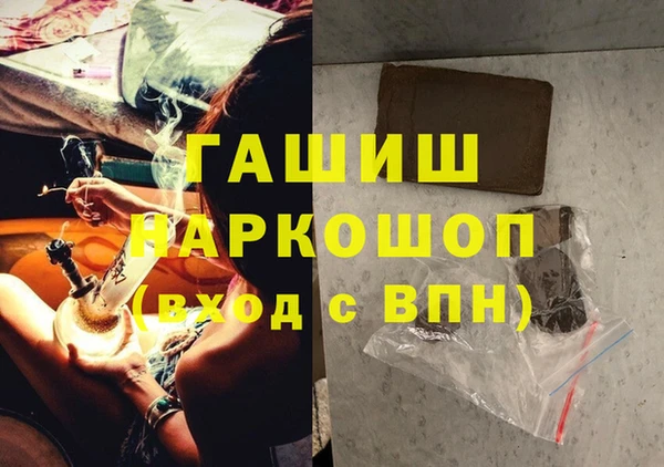 молекула духа Новозыбков