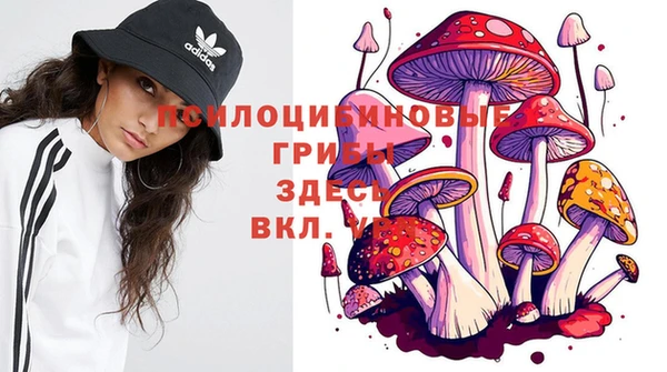 амф Новодвинск
