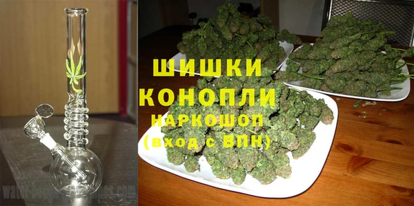 молекула духа Новозыбков