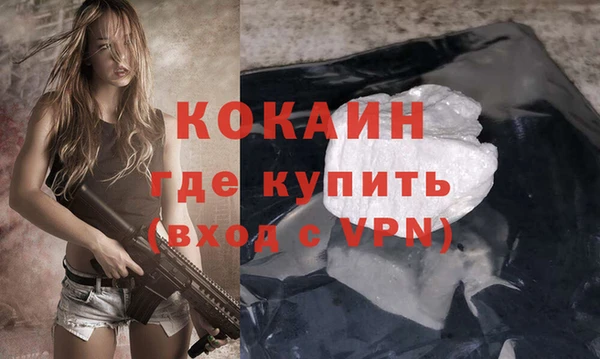 молекула духа Новозыбков