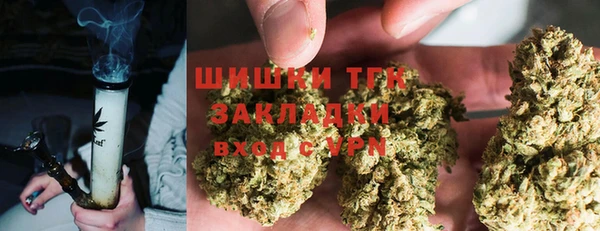 амф Новодвинск
