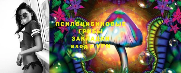 ГАЛЛЮЦИНОГЕННЫЕ ГРИБЫ Новокубанск