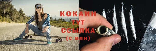 амф Новодвинск