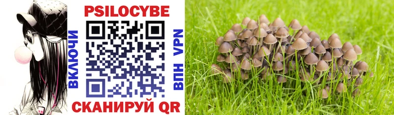 гидра   Туран  Псилоцибиновые грибы Psilocybe 